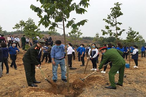 Tuyên Quang phấn đấu trồng mới 10.350 ha rừng