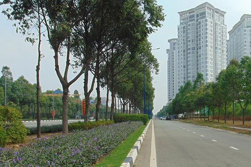 Bình Dương lần thứ ba được vinh danh có chiến lược phát triển thành phố thông minh tiêu biểu thế giới