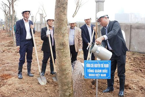 Phát động 'Tết trồng cây' Xuân Tân Sửu