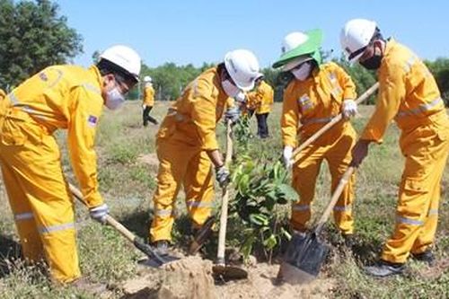 Công ty Vận chuyển Khí Đông Nam Bộ vượt chỉ tiêu kế hoạch trồng cây trên công trình khí năm 2021