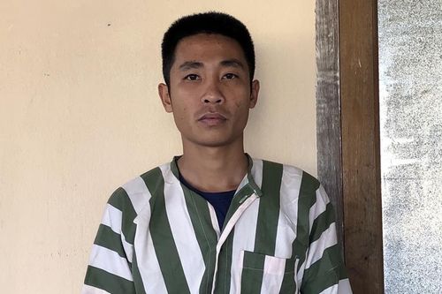 Bắt 'lâm tặc' đầu trò