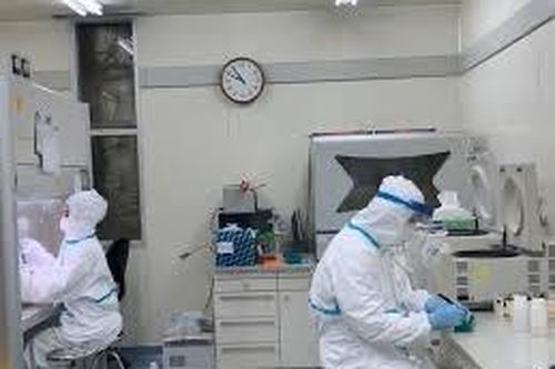 Nghệ An: 57 người nhập cảnh trái phép âm tính với COVID-19