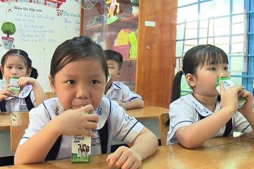TPHCM đề xuất tiếp tục triển khai chương trình sữa học đường trong năm 2021