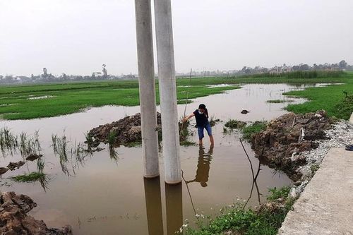 Vụ 2 bé đuối nước tại hố cột điện: Công ty Điện lực Thanh Hóa báo cáo gì?
