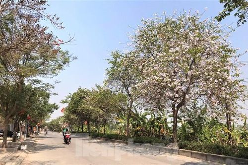 Miền Bắc tăng nhiệt, Nam Bộ nắng nóng