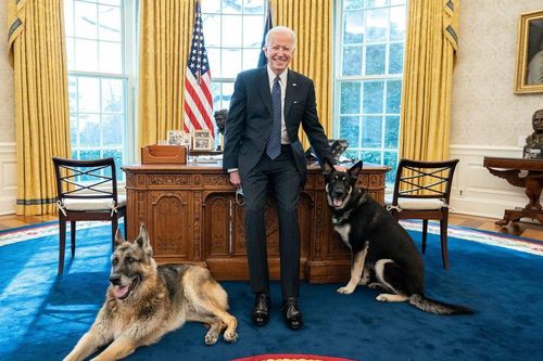 Chó cưng của ông Biden phải rời Nhà Trắng vì 'cắn nhân viên an ninh'