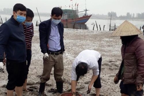 Xác định nguyên nhân ngao chết hàng loạt ở Thanh Hóa