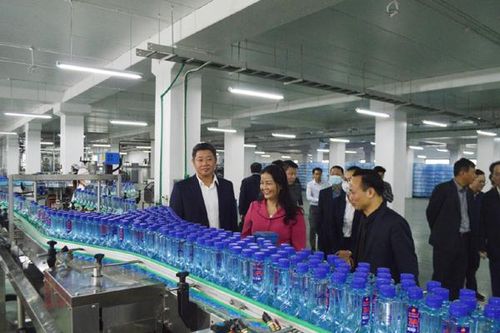 Lãnh đạo TP. Hà Nội thăm các cụm công nghiệp AMACCAO