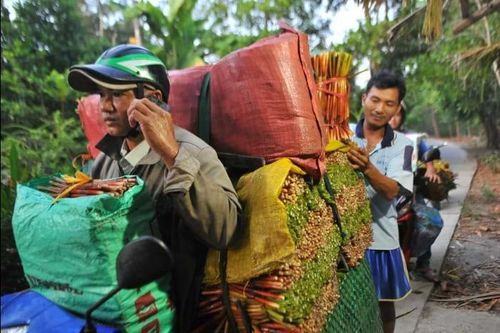 Nông nghiệp đúng hướng 'thuận thiên', nông dân khấm khá hơn