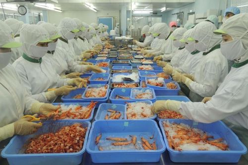 Phòng vệ thương mại trong ngành thủy sản: Sẵn sàng đấu tranh vì lợi ích chính đáng của doanh nghiệp