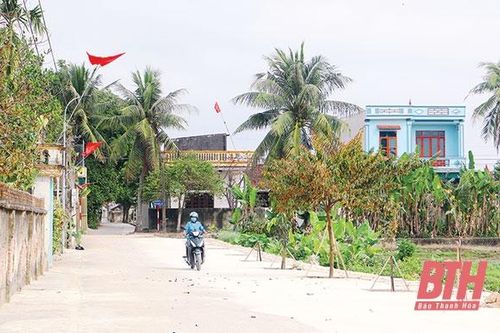 Hiến đất - cuộc 'cách mạng' kiến thiết làng quê