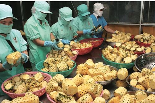 Bao giờ nhà nông hết tư tưởng 'bán một lần cho xong'?