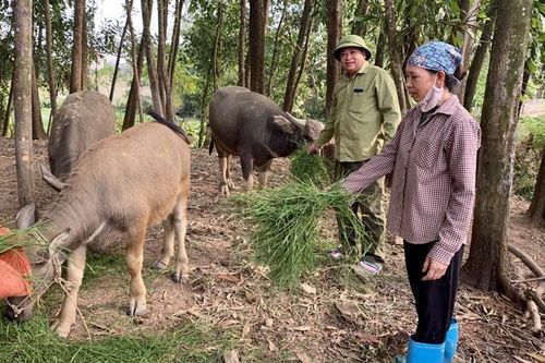 Đề xuất giảm lãi suất cho vay nguồn vốn chính sách