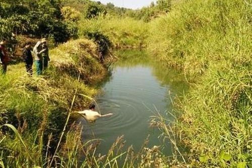 Đắk Nông: Rủ bạn đi săn, bắn nhầm bạn tử vong