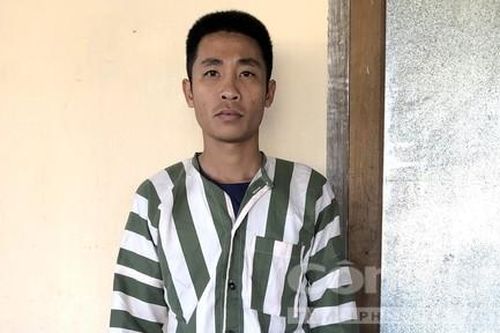 Bắt kẻ cầm đầu tổ chức khai thác gỗ cổ thụ tại Gia Lai