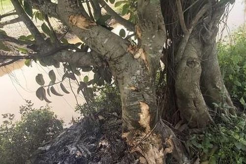 Xót xa hai thanh niên tử vong thương tâm trên đường đi viếng đồng đội cũ