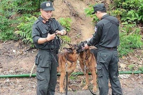 Bắt giữ nghi phạm chém 4 người sau 16 ngày trốn trên rừng