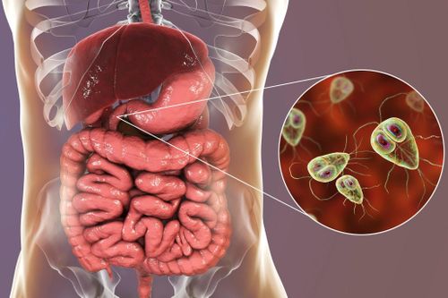 Dấu hiệu cơ thể nhiễm ký sinh trùng