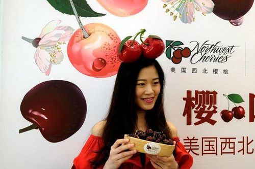 'Tự do cherry' ở Trung Quốc