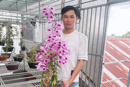Nguyễn Quốc Trường để yêu đam mê lan, cần có sự kiên trì và hiểu biết