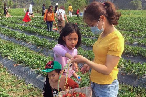 Ðưa nghị quyết vào cuộc sống bằng việc cụ thể