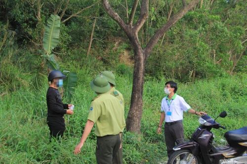 'Gác' khỉ ở nơi đáng sống