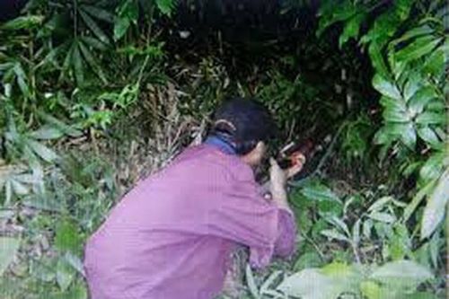 Đi săn sóc, bắn nhầm bạn tử vong