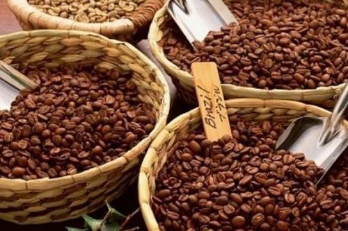 Giá cà phê hôm nay 11/3: Giá cà phê robusta mất 10% sau 8 phiên, lý do lực mua áp đảo