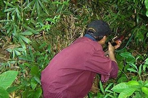 Đi săn sóc bắn bạn tử vong