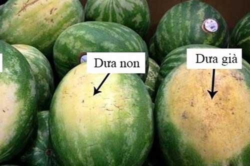 Cách chọn dưa hấu vỏ mỏng, đỏ ngọt như ý