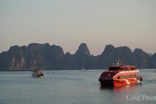 Quảng Ninh mở lại các hoạt động kinh doanh có điều kiện từ 11/3