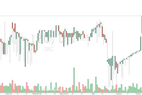 Apax Holdings: Vay nợ tăng, giá cổ phiếu đột biến