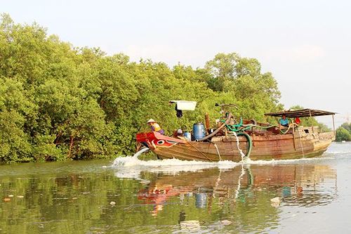 Chất lượng nguồn nước mặt: Cải thiện tích cực