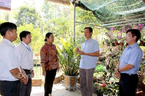 Bí thư chi bộ ấp khéo vận động