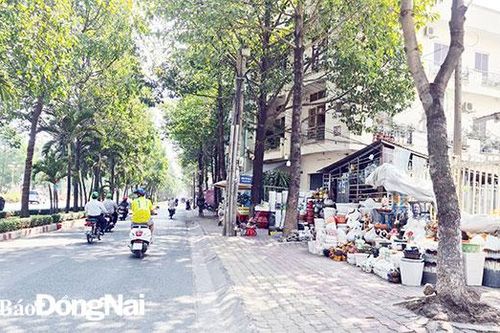 Tăng cường xử lý vi phạm trật tự đô thị