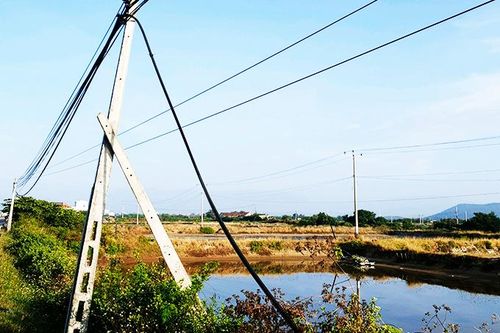 Cáp viễn thông liên tục bị cắt trộm