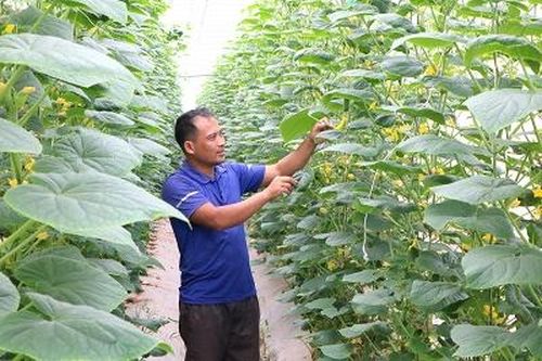 Minh Tân nâng cao chất lượng cuộc sống người dân
