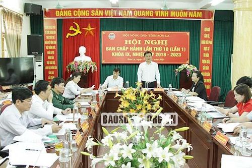 Hội nghị lần thứ 10, Ban Chấp hành Hội Nông dân tỉnh khóa IX