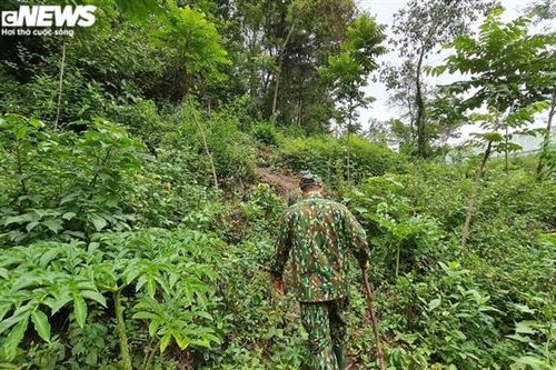 Nghi phạm chém 4 người ở Lạng Sơn bị bắt sau 16 ngày trốn trong rừng