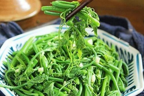 Đây là sai lầm khi ăn rau xanh khiến rau biến chất hoặc mất hết dinh dưỡng, các gia đình Việt cần thay đổi ngay kẻo sinh bệnh