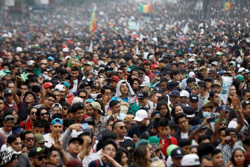 Mexico sắp mở ra thị trường cần sa lớn nhất thế giới