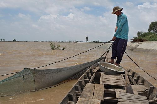 Nước mặn không phải 'kẻ thù' của kinh tế Đồng bằng sông Cửu Long