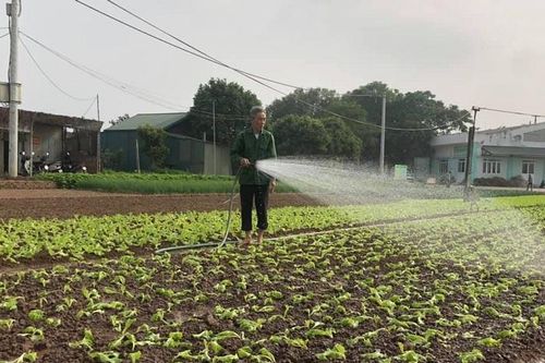 Bắt mạch yếu điểm ngành nông nghiệp Thủ đô