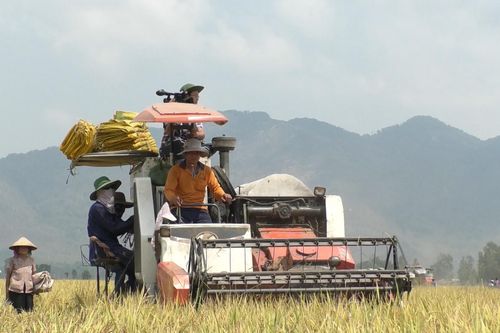 ĐBSCL: Con tàu lớn đang chuyển hướng