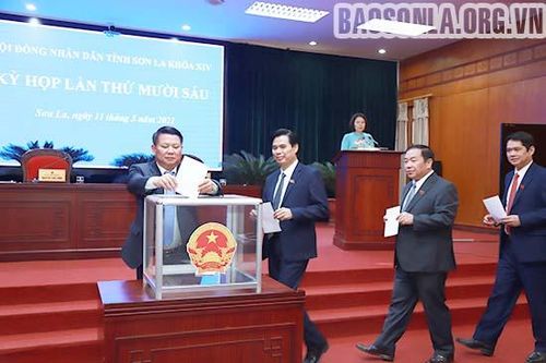Sơn La, Tuyên Quang kiện toàn công tác nhân sự