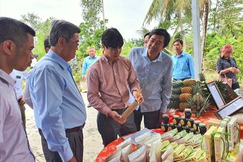Huyện Gò Quao (Kiên Giang) đạt chuẩn nông thôn mới