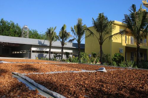 Báo cáo chính thức về việc hành nghề của ông Võ Hoàng Yên