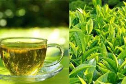 Những sai lầm tuyệt đối không được mắc phải khi uống trà xanh