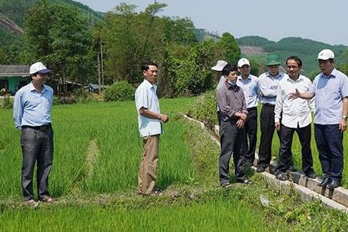 Thừa Thiên Huế: Kích hoạt các trạm bơm dã chiến để chống hạn, 'cứu' lúa