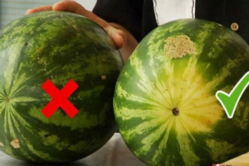 Điểm 'vàng' trên quả dưa hấu 'nhắc' bạn: Đâu mới là quả mọng nước, ngon ngọt, ruột đỏ tươi không chất bảo quản?